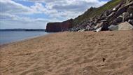 hollicombe beach