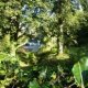 Luxury Boutique B&B Totnes Dartmouth South Devon Terms