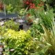 Paignton Guest House