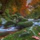 Places to stay in Devon UK