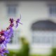 Strete Barton House, Dartmouth