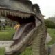 Woodlands Theme Park Devon