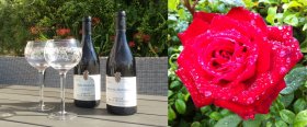 the best bed and breakfast in barnstaple wine garden