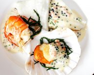 Restaurants in Dartmouth Devon