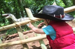 Woodlands Family Theme Park